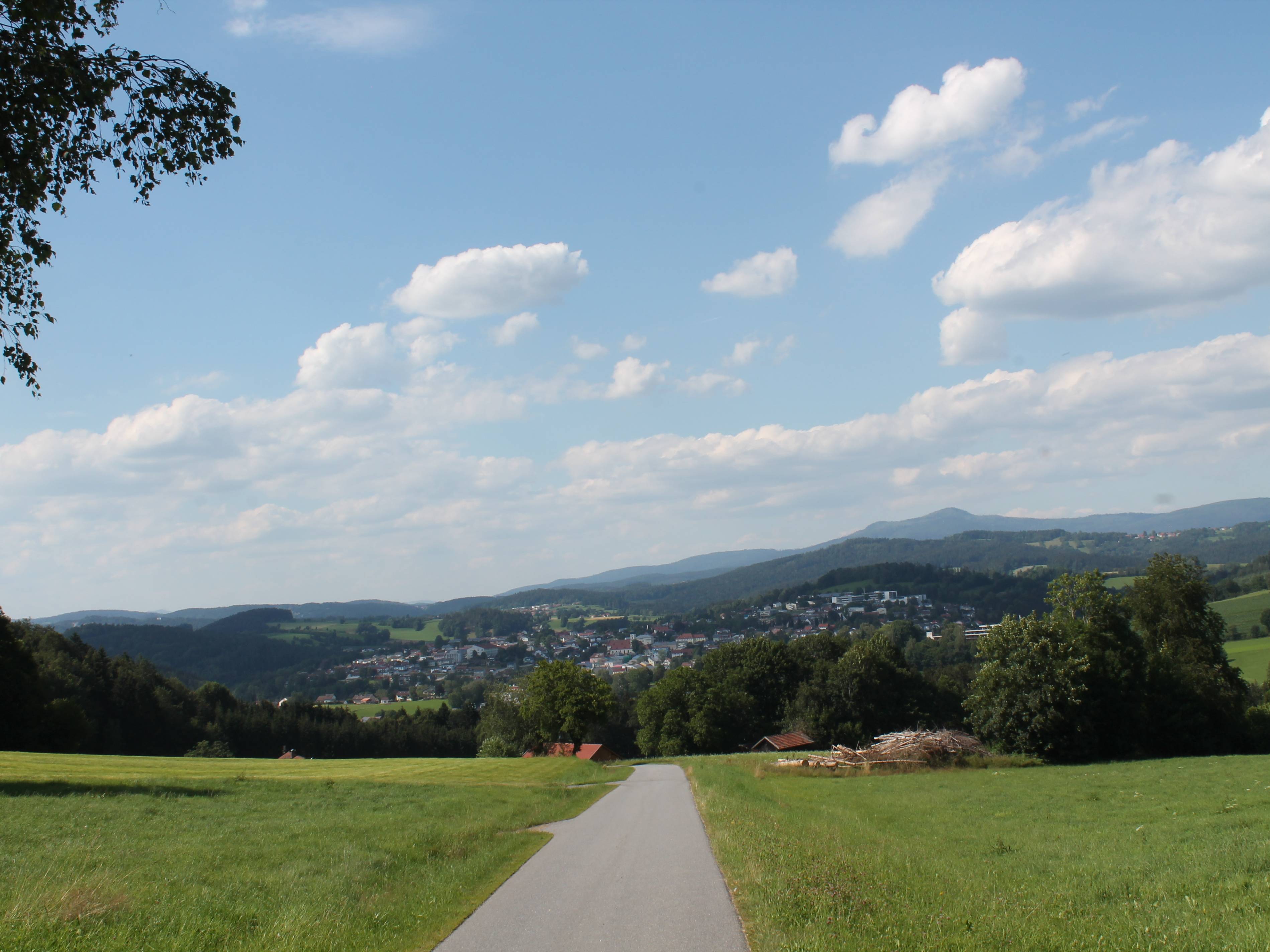  Blick von Liebersberg auf Grafenau 